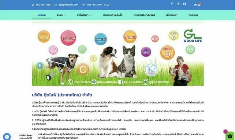 รับทำเว็บไซต์ กู๊ดไลฟ์