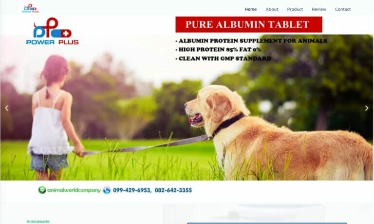 รับทำเว็บไซต์ แอนนิมอล เวิล์ด